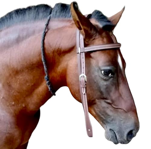 Majestic Ally Padded Leather Brow Band Headstall for Horses - color: Natural