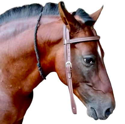 Majestic Ally Padded Leather Brow Band Headstall for Horses - color: Natural