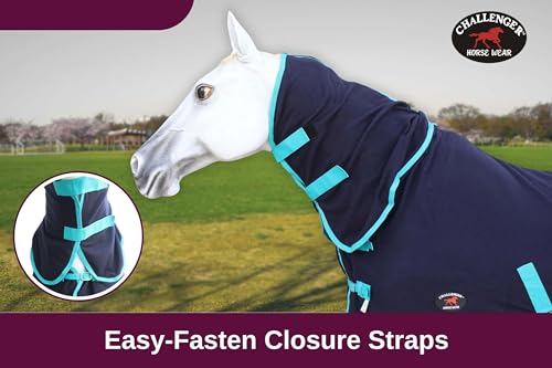 Challenger Horse Sheet Polar Fleece Cooler Exercise Blanket Wicks Moisture 4384 - color: Black / Turquoise Trim, size: 64 inches
