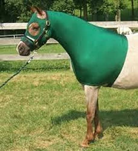 for Horses S Solid Zipper Stretch Hood - Hunter Green