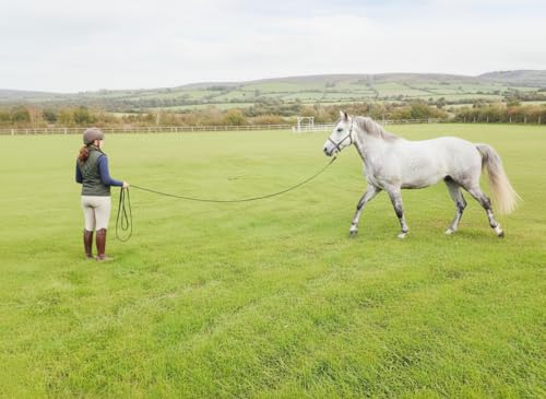 Soft Padded Lunge Line Rein Lead for Horses 27ft Long Looped Handle Swivel Clip (Navy/Green) - color: Navy/Green