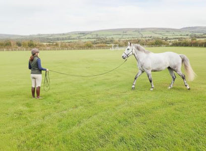 Soft Padded Lunge Line Rein Lead for Horses 27ft Long Looped Handle Swivel Clip (Navy/Green) - color: Navy/Green