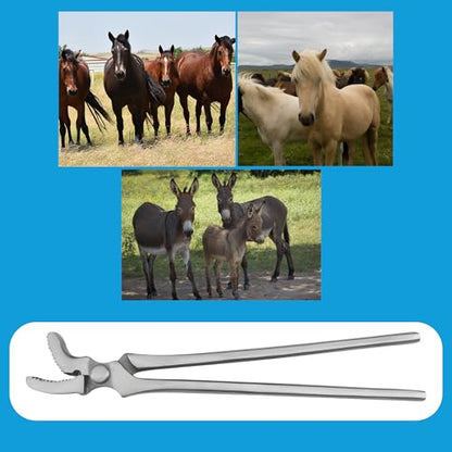 13" Silver Curved Jaw Clincher, Professional Farrier Tool for Horseshoeing, Hoof & Nail Clinching, Durable Horseshoe Clincher - style: Curved Jaw Clincher 13"