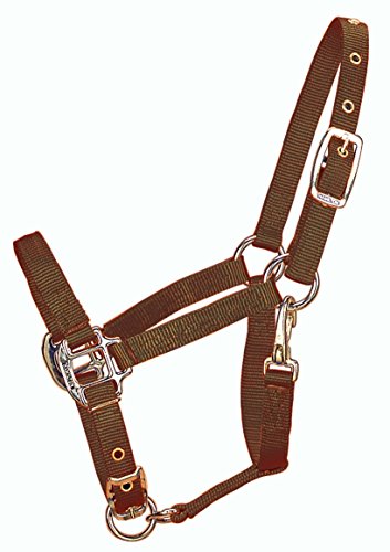 Hamilton 3DAS WNBR 3/4" Adjustable Chin Foal Halter with Snap, Weanling, Brown