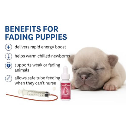 LBH MARKET Emergency Puppy Kitten Feeding Tube Kit – 5FR Kendall Tube, 12mL Syringe & Pet Nutri-Drops for Weak or Fading Puppies | Newborn Whelping Supplies for Breeders