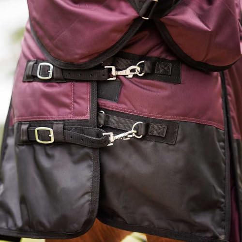 Country Pride Gale Force Midweight Turnout Blanket for Horses, 1680D Waterproof Blanket, 200g Insulation, Adjustable Double Buckle Front, Bias Surcingle, Shoulder Gussets, Tail Cover, Plum/Black (76) - size: 76