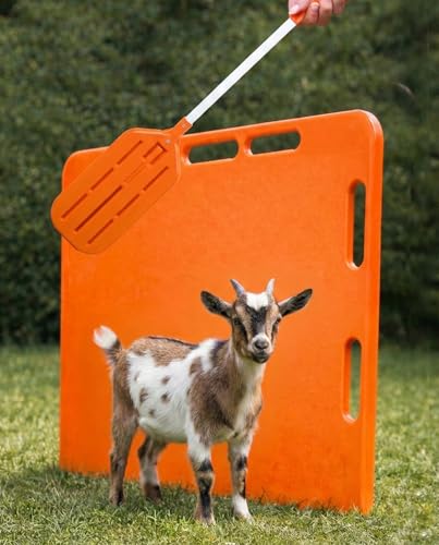 Pig Sorting Board w/Sorting Stick Paddle - Livestock Sorting Panel - Cattle Panel, Hog Panels, Mini Pig, Baby Goat Supplies - Show Pig Supplies Livestock - Farm Equipment - Medium 38" x 30" x 2" - color: orange, size: Medium