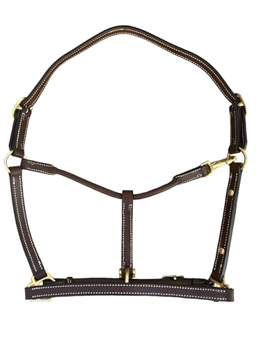 Leaders 3/4" Leather Halter for Horses with Customized Engraved Name Plate Brown Leather with Solid Brass Hardware - size: Mini