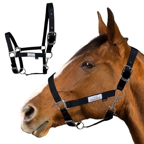 Prairie Horse Supply Nylon Horse Halter - 1 Inch Wide, Horse Halter Adjustable, Horse Harness, Horse Equipment and Supplies - Ideal for Equestrian Use