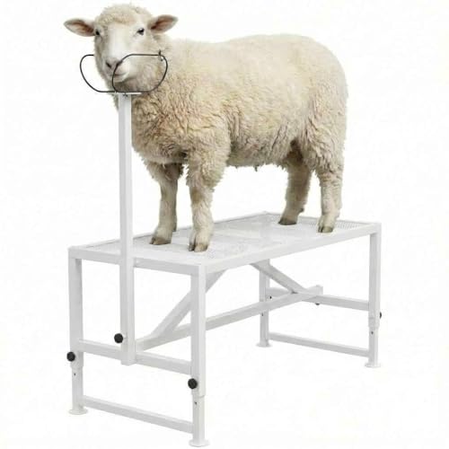 Goat Milking Stand, Metal Livestock Platform - Heavy Duty 47"X23" Metal Livestock Shearing Stand with Adjustable Height (21" to 33") & Headpiece/Nose Loop, White - color: White