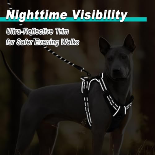 BARKBAY Dog Harness for Small Sized Dog No Pull 2 Leash Clips Dog Vest - color: Black, size: Small