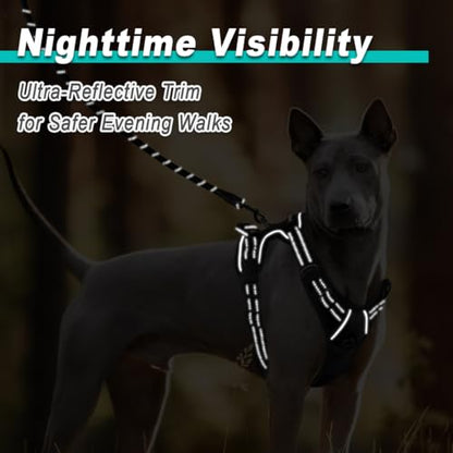 BARKBAY Dog Harness for Small Sized Dog No Pull 2 Leash Clips Dog Vest - color: Black, size: Small