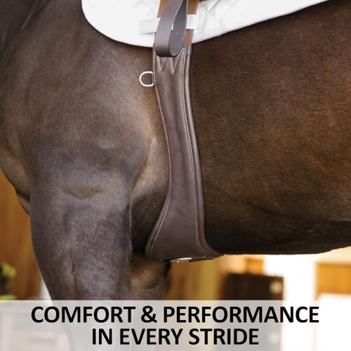 Schneiders Anatomical Leather English Jump Girth for Horses | Aniline Calfskin | Carabiner Clip | Dual Elastic Ends | Stainless Hardware - size: Horse Size 44