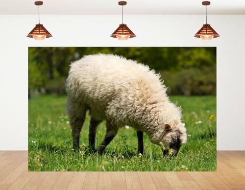 5x3ft Fluffy White Wool Sheep Backdrop Lush Green Grass Pasture Sunny Outdoor Photography Background Tapestry for Country Farm Party Decorations Photo Booth Props - size: 5x3ft
