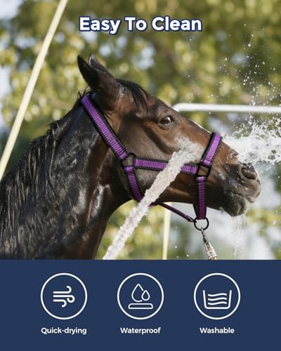 Hilltown Adjustable Horse Halter - color: PURPLE, size: Pony