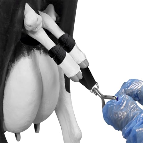 SURGICAL ONLINE 4-Piece OB Calf Pulling Strap Set – Veterinary Cattle Delivery Equipment – Livestock Assistance Aid for Difficult Births
