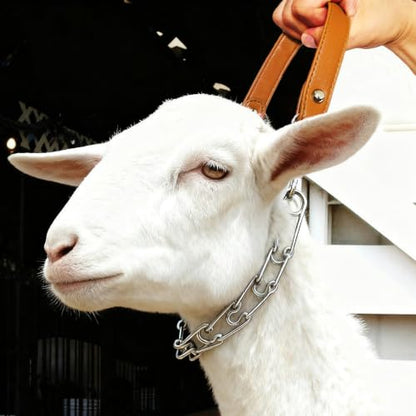 QMARK Pronged Chain Goat Collar, Brown and Silver, 30 Inch
