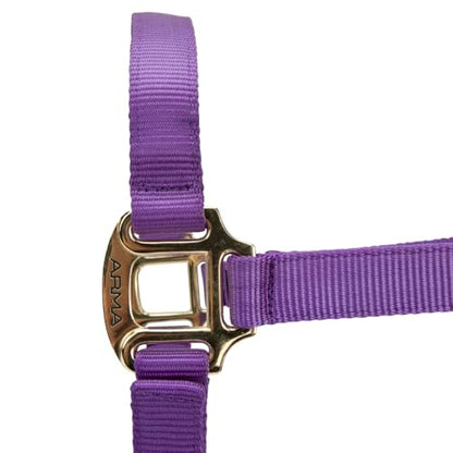 Shires ARMA Adjustable Nylon Halter - color: Purple, size: Pony