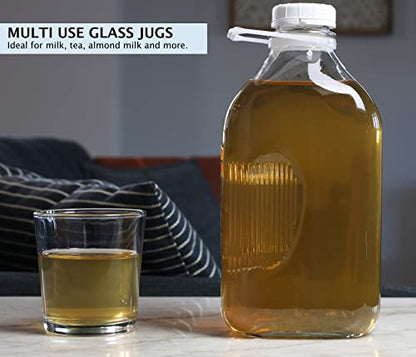 The Dairy Shoppe Glass Milk Bottle, Heavy Glass with 48mm Lid, Creamery Style (64 oz/1 pk, Half Gallon) - size: Half Gallon