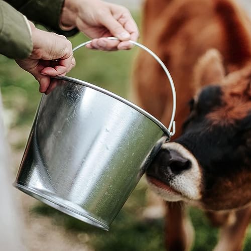 5 Quart Galvanized Steel Pail, Metal Bucket - color: 5 Quart Steel Pail
