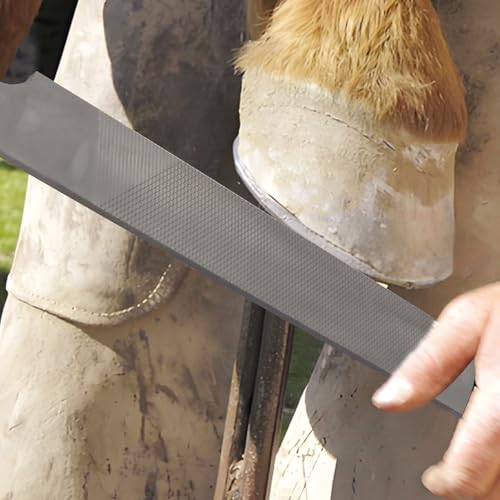 Double-Sided Hoof Rasp, 18 Inch Farrier File Tool with Ergonomic Rubber Handle, Carbon Steel Horseshoe File for Trimming Horse Goat Cow Donkey Hooves – Heavy-Duty Animal Hoof Care Tool - size: 18''