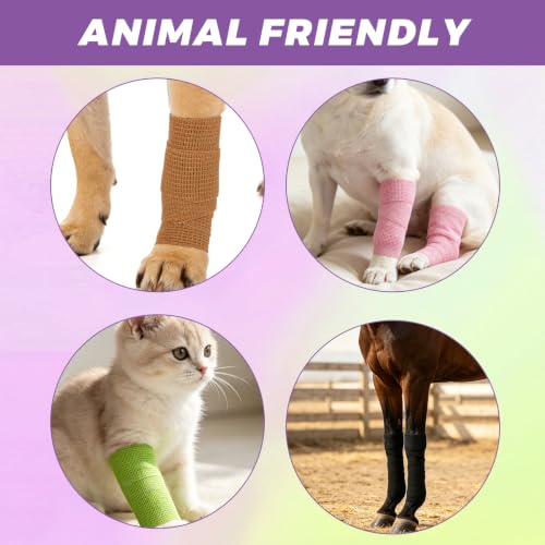 60 Pack Self Adhesive Bandage Wrap 2 Inch X 5 Yard – Multicolored