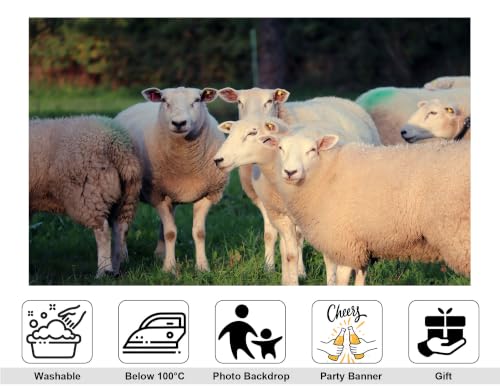 5x3ft White Wool Sheep Meadow Backdrop Fluffy Livestock Green Grass Pasture Soft Daylight Photography Background Tapestry Farm Animal Decorations Photo Booth Props - size: 5x3ft