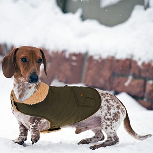 Queenmore Warm Puffer Dog Coat Thick Plush Quilting Small Winter Jacket - color: Green, size: Small