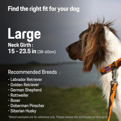 Charlie’s Backyard Teton Dog Collar, Urban to Trail Lightweight & Adjustable with Quick Release DURAFLEX Buckle, Durable D-Ring & All-Day Comfort, Sierra Dream, Large - color: Sierra Dream, size: Large