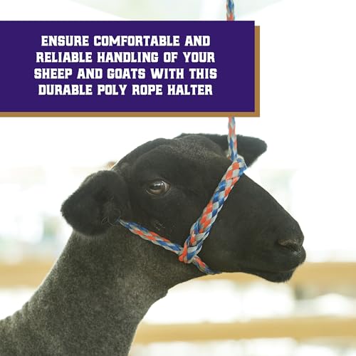 Weaver Livestock Braided Poly Rope Halter, 3/8" x 10" Modern, Adjustable, Soft Braid Sheep Halter, Livestock Equipment for Sheep, Goats - size: 3/8"X10'