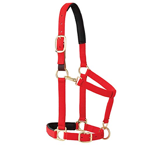 Weaver Equine Breakaway Horse Halter, Comfort Foam Padding, Adjustable Chin & Throat Snap Halters for Horses, Equine Tack,Average Size - color: Red
