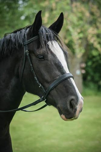Thinline Bitless Noseband - color: Black, size: Cob