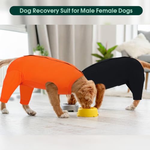 Kuoser Dog Recovery Suit with Anti Licking Rear Leg Sleeve, Black L - color: Black, size: Large (Back Length: 40cm / 15.74")
