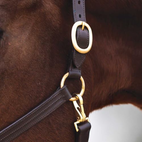 Country Pride Fairfield Triple Stitched Leather Halter - size: Cob