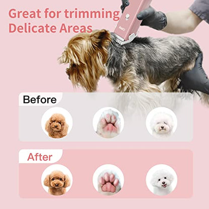 Professional Household Waterproof Low Noise Pet Hair Clippers Electric USB Rechargeable Painless Grooming Tools Hair Grooming Trimmer for Small Medium Dog Cat AP005 Green - color: Ap005-green