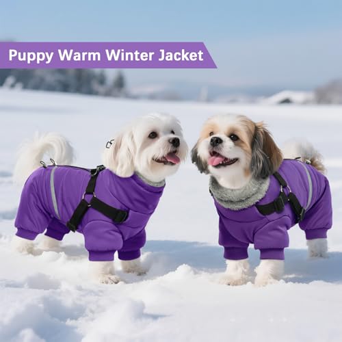 BRKURLEG Purple Dog Coat with Harness, Dog Winter Jacket, Dogs Onesie Body Warm Jackets, Small Dogs Winter Coats Reflective Windproof Warm Cold Weather Coats, Pet Waterproof Jackets, M - color: Purple, size: Medium
