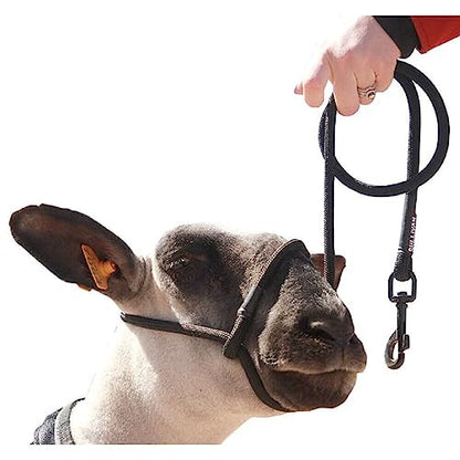 Sullivan Supply Sheep Rope Halter with Snap Lead Black