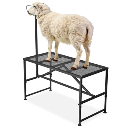 Garvee Goat Milking Stand, 47x23 Inch Livestock Stand, Metal Sheep Milking and Shearing Stand 21" to 33" Adjustable Height, with Headpiece and Nose Loop - color: Black