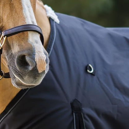 Country Pride Glacier 600D Rip-Stop Midweight Turnout Blanket, Waterproof Breathable Horse Blanket, 200g Insulation, Shoulder Gussets, Adjustable Leg Straps, Dual Surcingles, Storm Flap (66) - size: 66