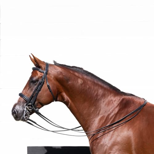 Equinavia Saga Double Bridle w/Reins - size: Horse