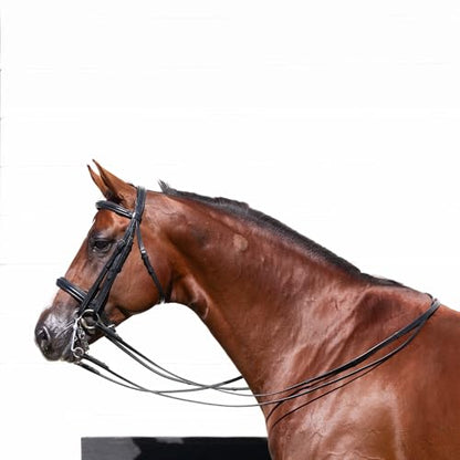 Equinavia Saga Double Bridle w/Reins - size: Horse