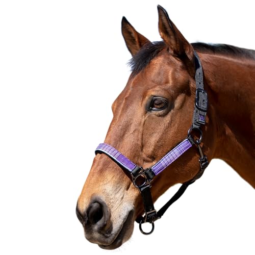 Kensington - color: Black w/Lavender Mint, size: Large