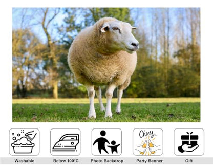 10x7ft Fabric Fluffy Wool Sheep Backdrop White Ewe Green Pasture Soft Daylight Blurred Wood Background Photography Background Tapestry Farm Animal Decorations Banner Photo Booth Props - size: 10x7ft