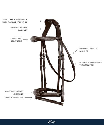 English Horse Bridle with Anatomic Crank Noseband & Detachable Flash | Vegetable Tanned Leather Jumping Bridle, Ergonomic Pressure Relief Crownpiece | Reins Included | Black, Brown - color: Black, size: Cob/Medium Size