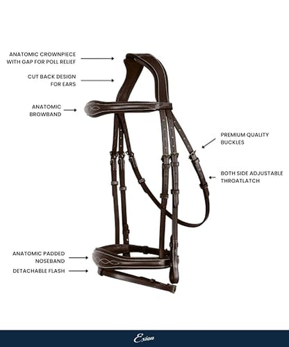 English Horse Bridle with Anatomic Crank Noseband & Detachable Flash | Vegetable Tanned Leather Jumping Bridle, Ergonomic Pressure Relief Crownpiece | Reins Included | Black, Brown - color: Black, size: Cob/Medium Size