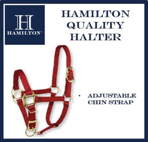 Hamilton Quality Adjustable Horse Halter, 100-200 lbs, Dark Green - color: Dark Green, size: Pony, 100-200lbs