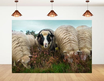 5x3ft Fabric Fluffy Wool Sheep Backdrop Black Faced Sheep Heather Wild Flower Green Moor Grass Overcast Sky for Highland Farm Animal Portrait Decorations Tapestry Photo Booth Props - size: 5x3ft