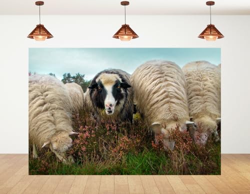 12x8ft Fabric Fluffy Wool Sheep Backdrop Black Faced Sheep Heather Wild Flower Green Moor Grass Overcast Sky for Highland Farm Animal Portrait Decorations Tapestry Photo Booth Props - size: 12x8ft