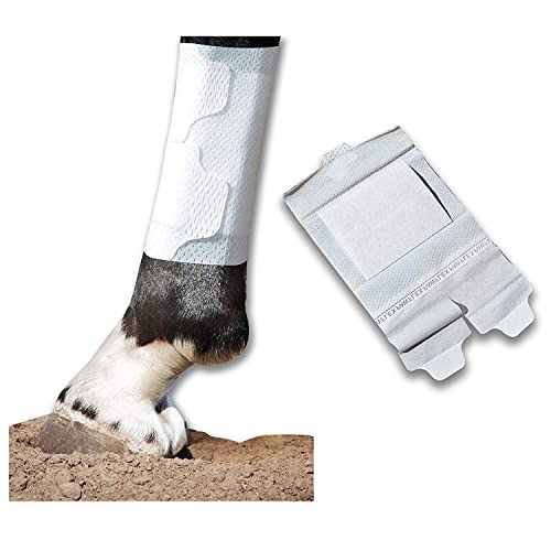 Equine BandaFlex Non-Adhesive, Disposable, Washable and Reusable Bandages (Large) - size: Large
