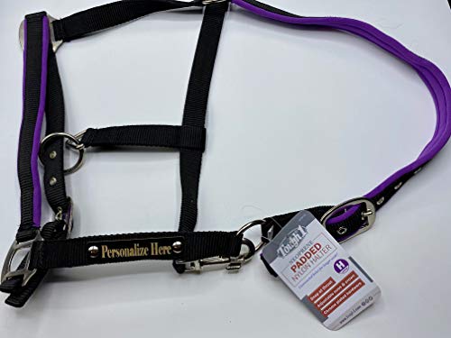 Purple Padded Horse Halter with Personalized Laser Engraved Custom Plate